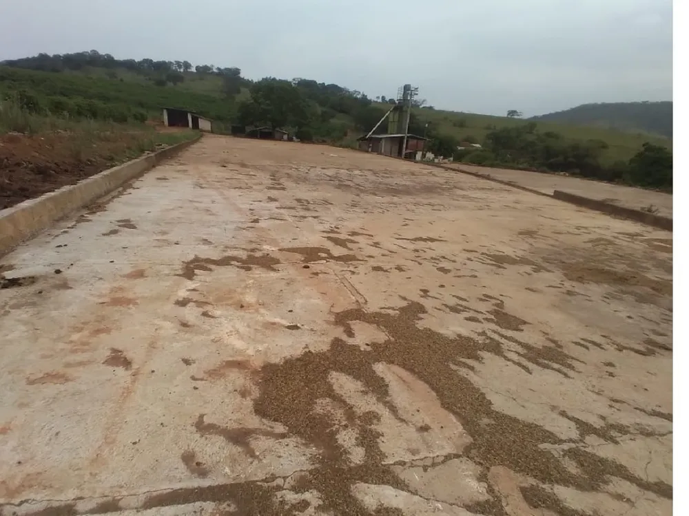 Sítio, 1 quarto, 14 hectares - Foto 12