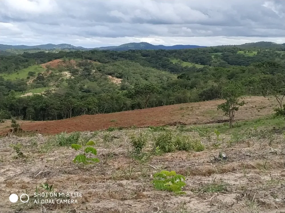 Fazenda, 79 hectares - Foto 1