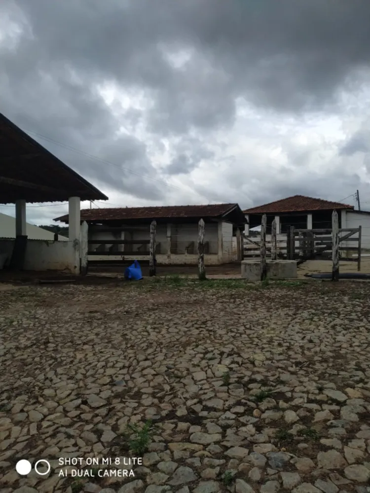 Fazenda, 79 hectares - Foto 6