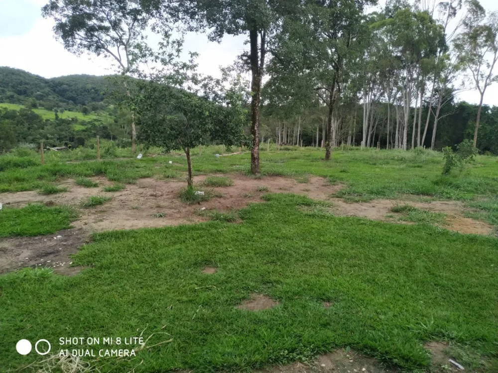 Fazenda, 79 hectares - Foto 5
