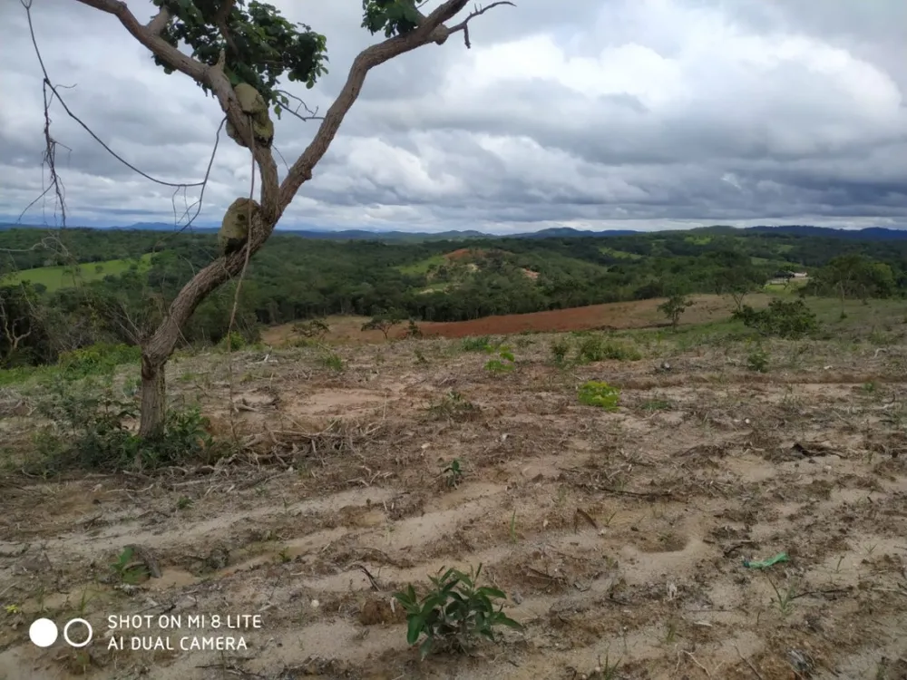 Fazenda, 79 hectares - Foto 7