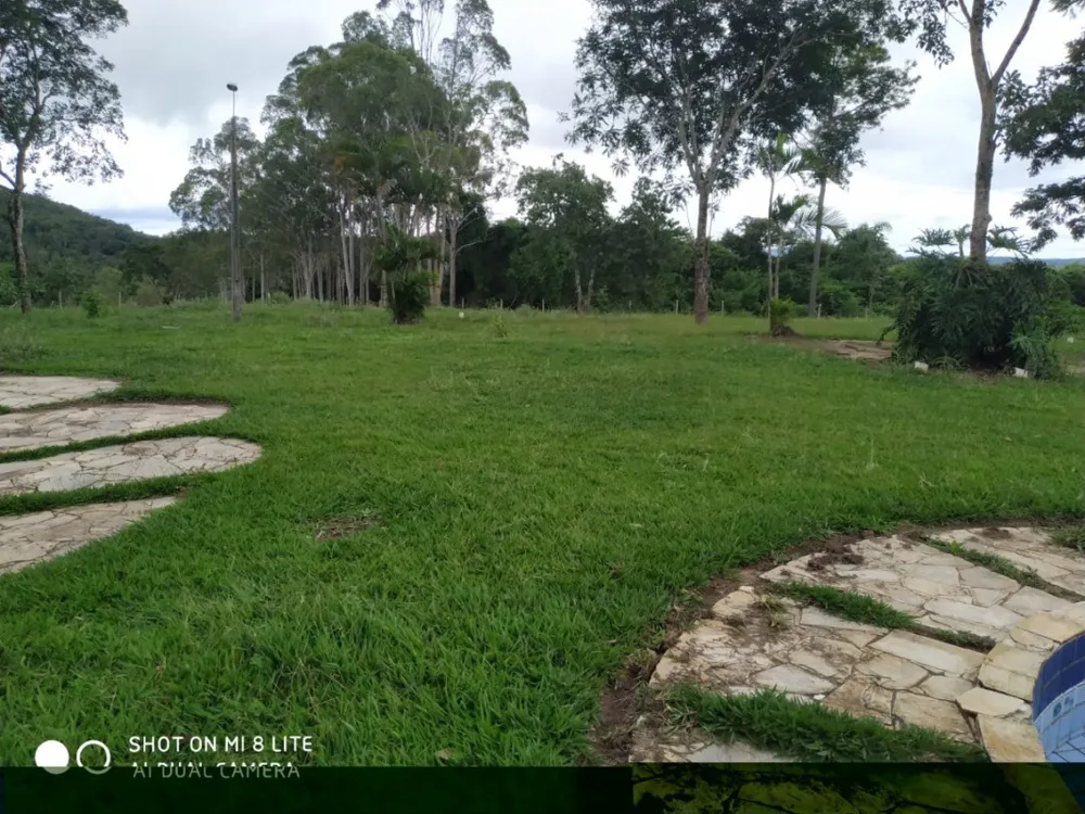 Fazenda, 79 hectares - Foto 4