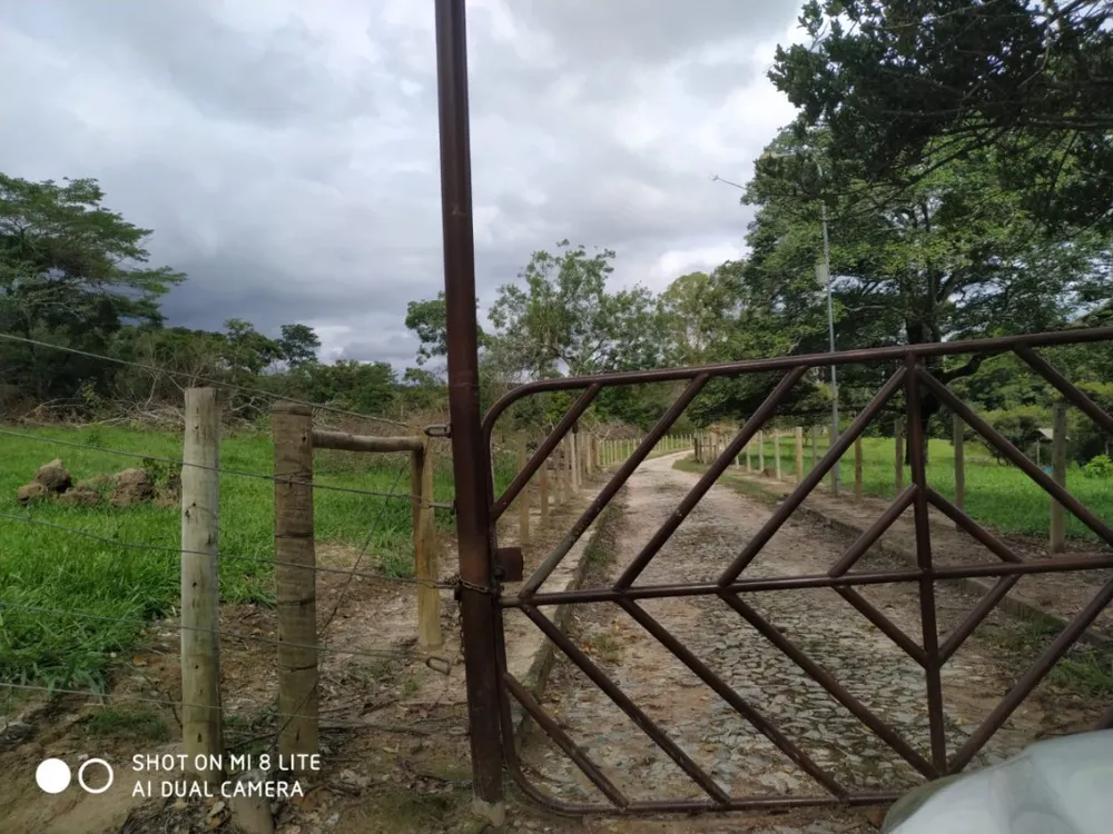 Fazenda, 79 hectares - Foto 3