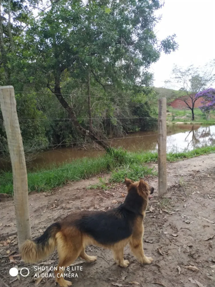 Fazenda, 79 hectares - Foto 8