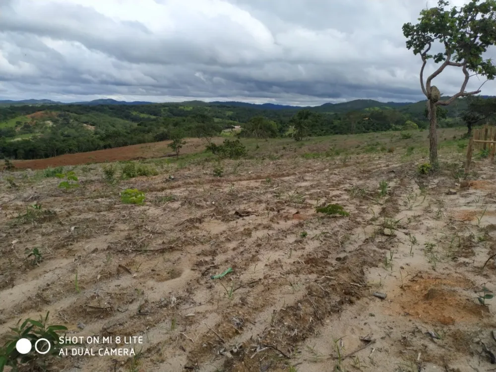 Fazenda, 79 hectares - Foto 2