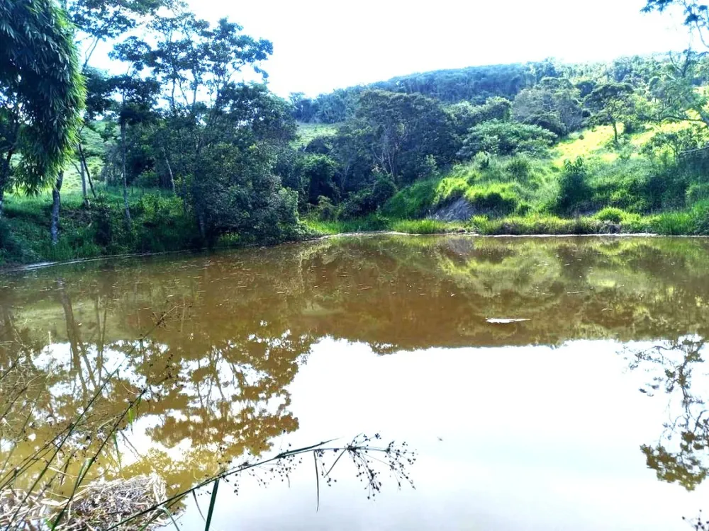 Fazenda, 194 hectares - Foto 7