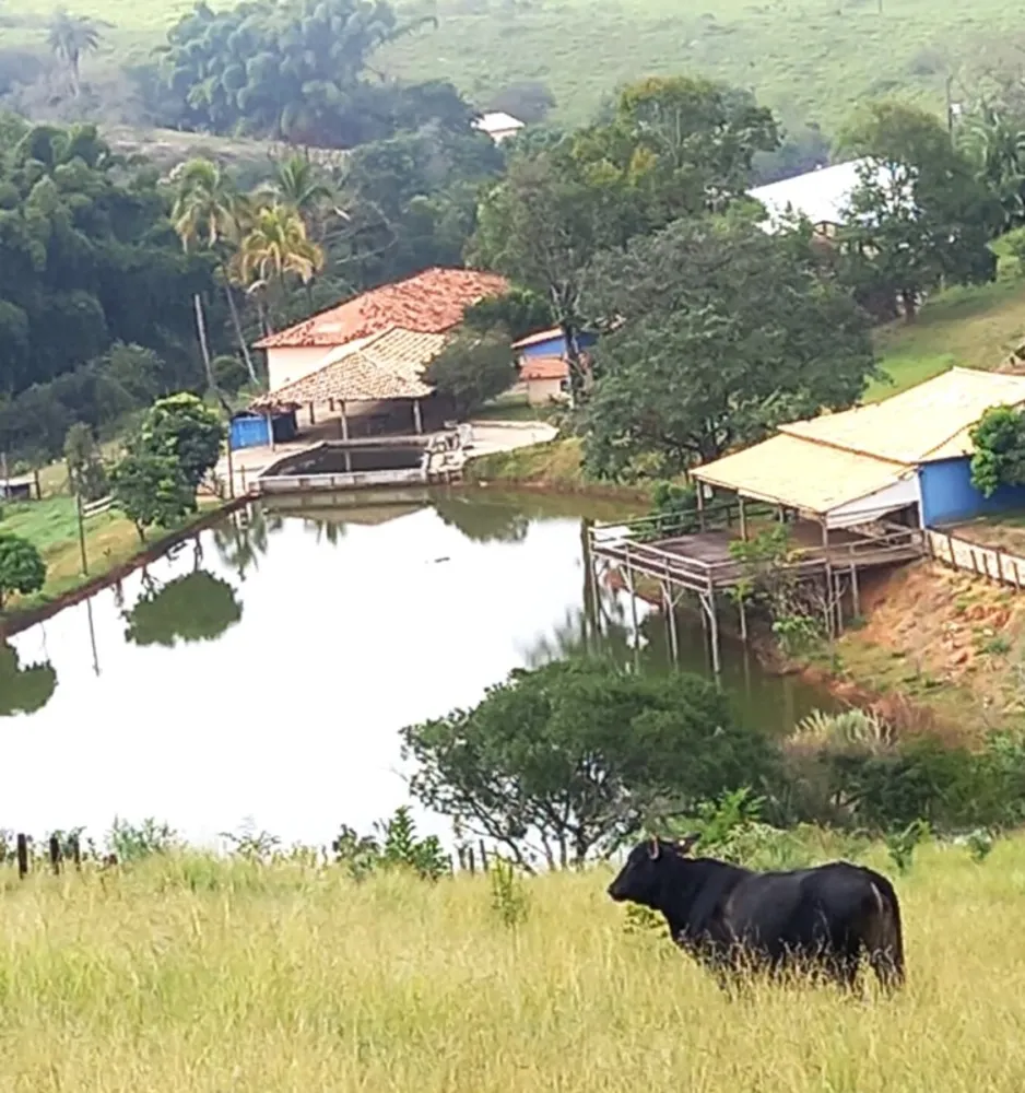 Fazenda, 194 hectares - Foto 5