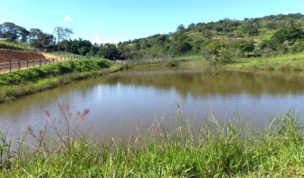 Fazenda, 194 hectares - Foto 8