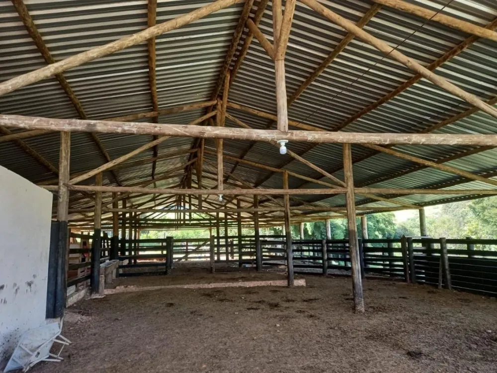 Fazenda, 194 hectares - Foto 1