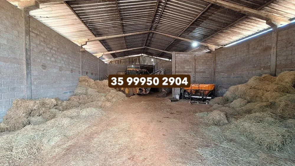 Fazenda, 160 hectares - Foto 12