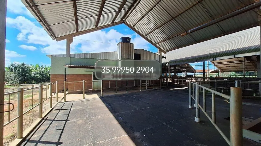 Fazenda, 160 hectares - Foto 10