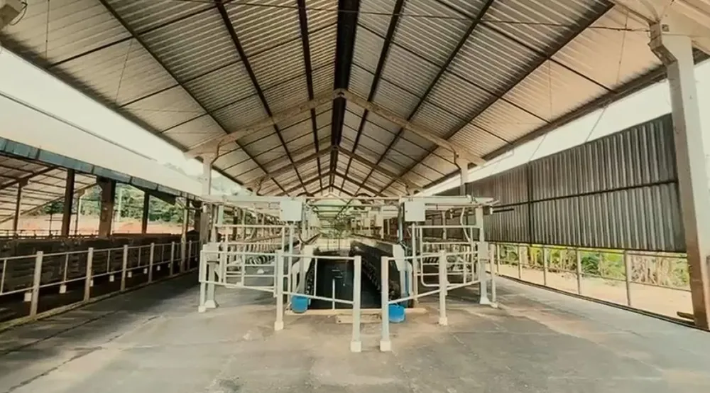Fazenda, 160 hectares - Foto 3