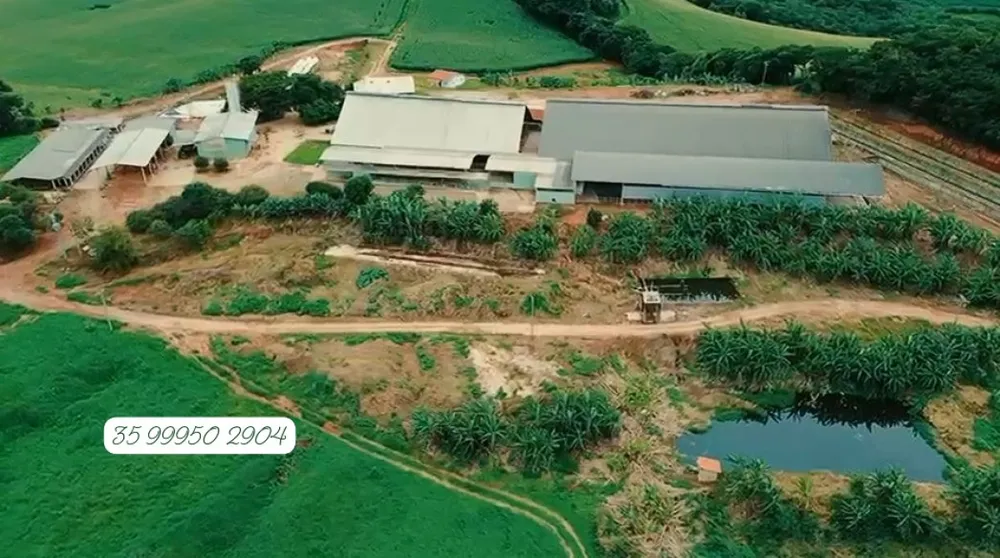 Fazenda, 160 hectares - Foto 11