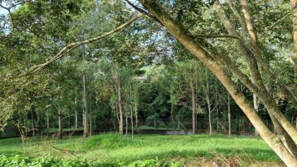 Terreno, 1120 m² - Foto 7