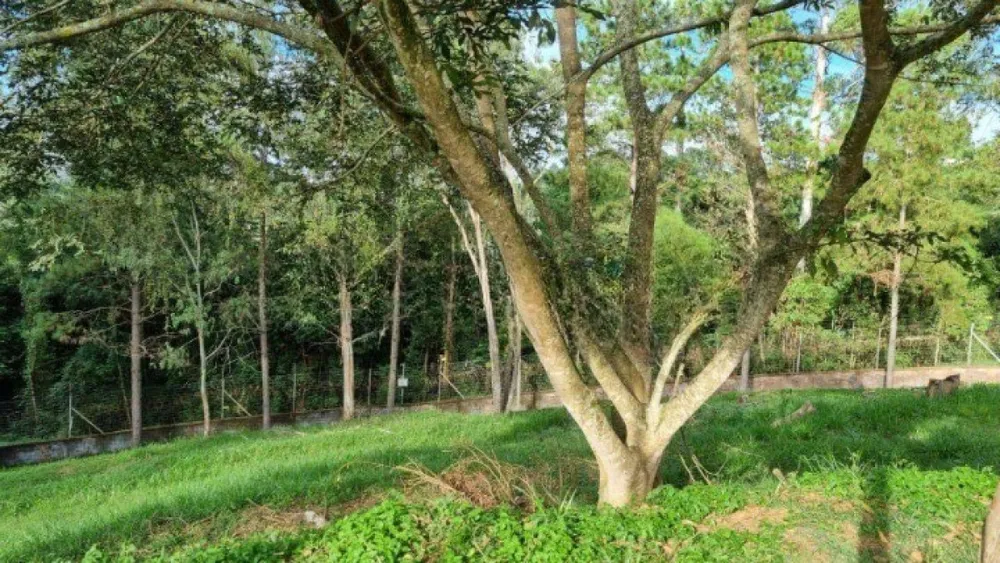 Terreno, 1120 m² - Foto 2