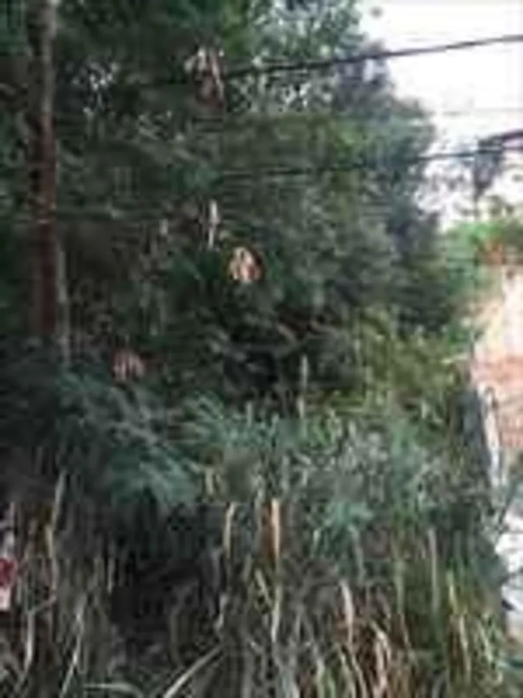Terreno, 360 m² - Foto 1