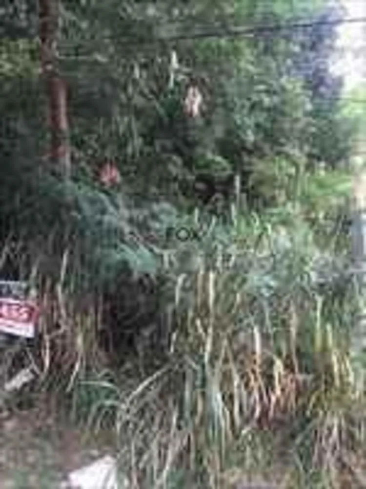Terreno, 360 m² - Foto 3