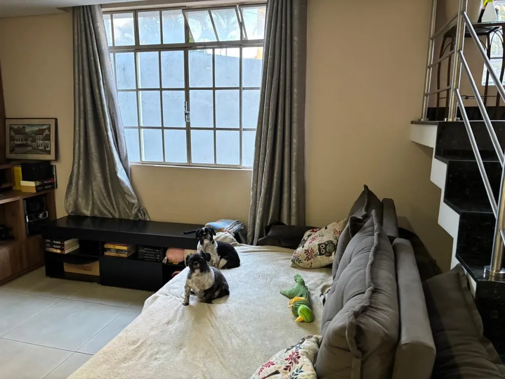 Casa, 3 quartos, 331 m² - Foto 4