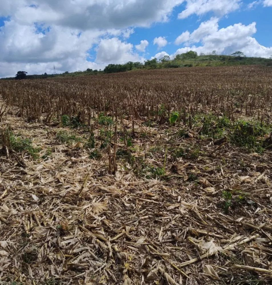 Fazenda, 68 hectares - Foto 1