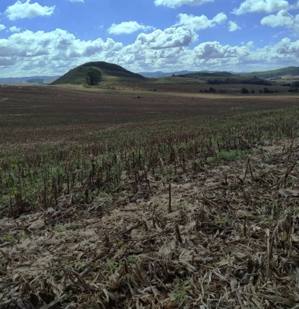 Fazenda, 68 hectares - Foto 7