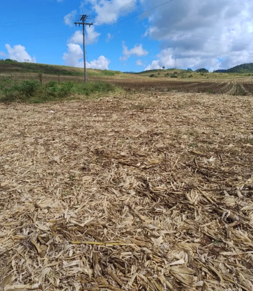 Fazenda, 68 hectares - Foto 11