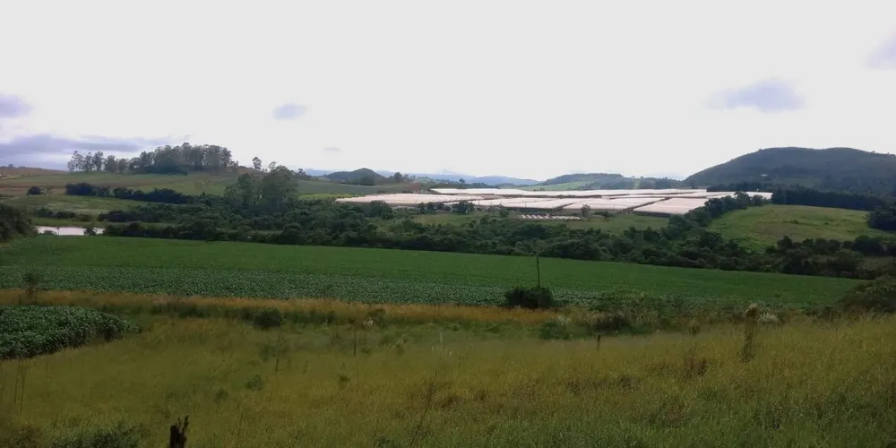 Fazenda, 68 hectares - Foto 8
