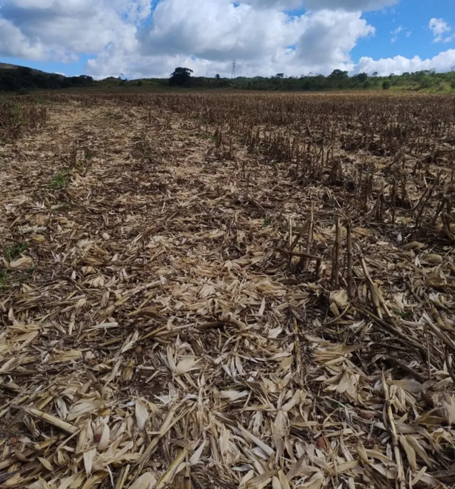 Fazenda, 68 hectares - Foto 10