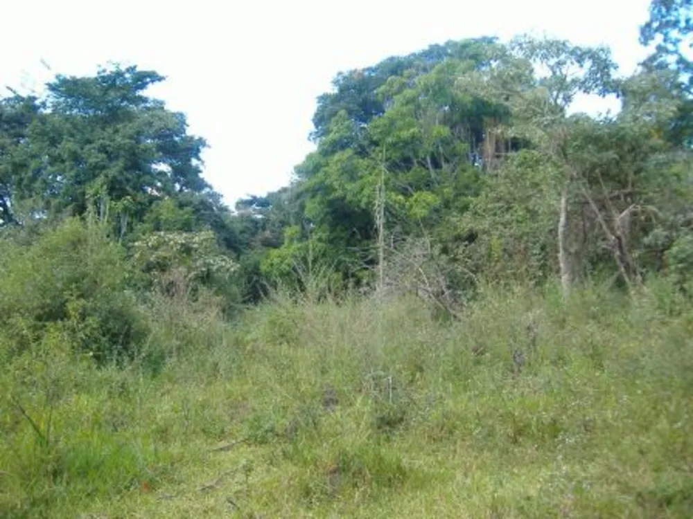 Terreno, 32000 m² - Foto 1