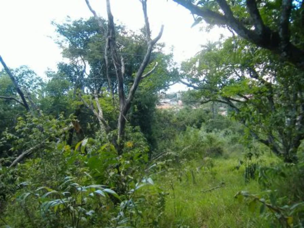 Terreno, 32000 m² - Foto 2