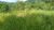 Fazenda, 229 hectares - Foto 2