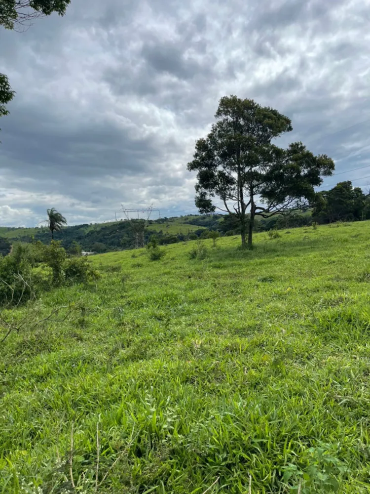 Fazenda, 5 hectares - Foto 2
