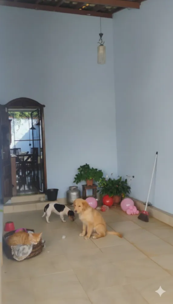 Casa, 3 quartos, 164 m² - Foto 4