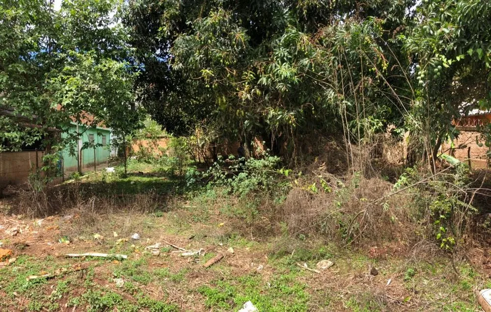 Terreno, 1000 m² - Foto 8