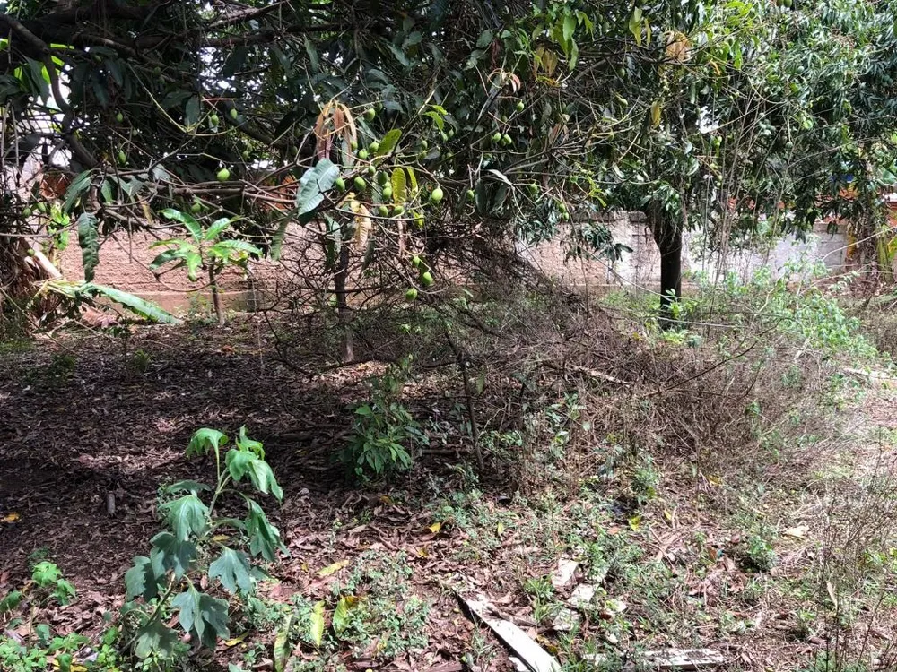 Terreno, 1000 m² - Foto 19