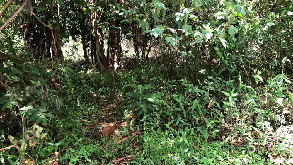 Terreno, 1000 m² - Foto 1