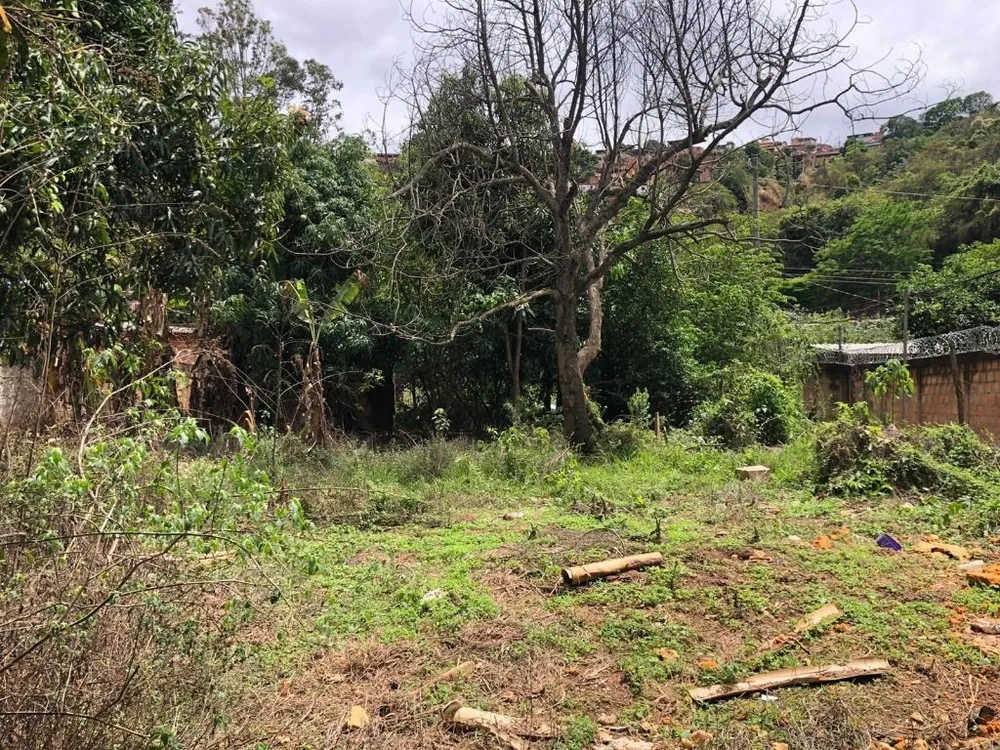 Terreno, 1000 m² - Foto 11