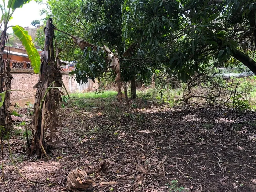 Terreno, 1000 m² - Foto 14