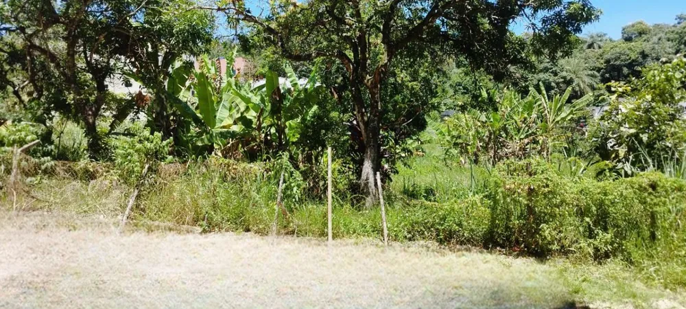 Terreno, 450 m² - Foto 5