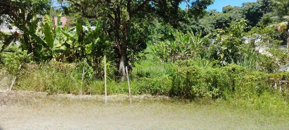 Terreno, 450 m² - Foto 3
