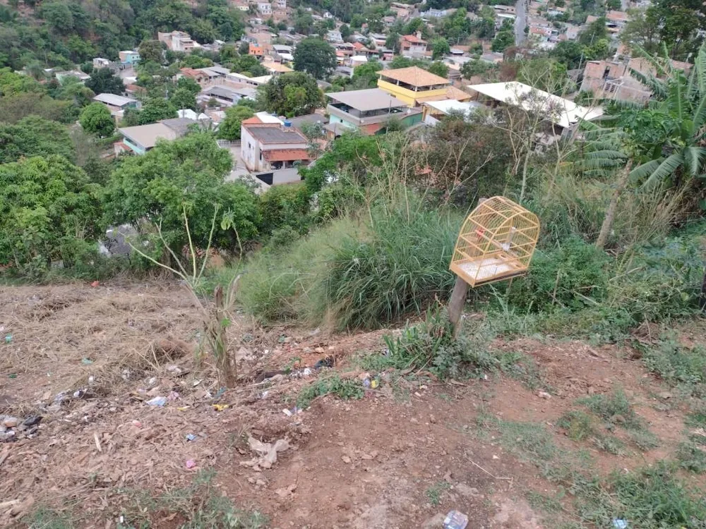 Terreno, 420 m² - Foto 7