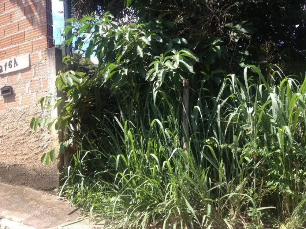 Terreno, 360 m² - Foto 3