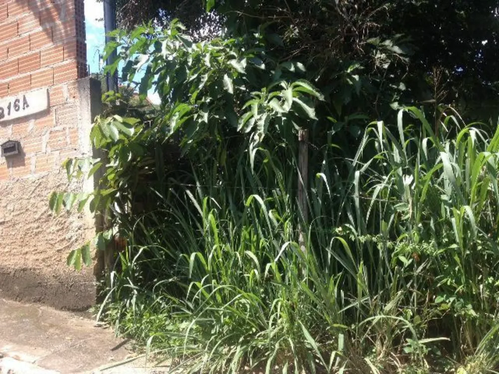 Terreno, 360 m² - Foto 8