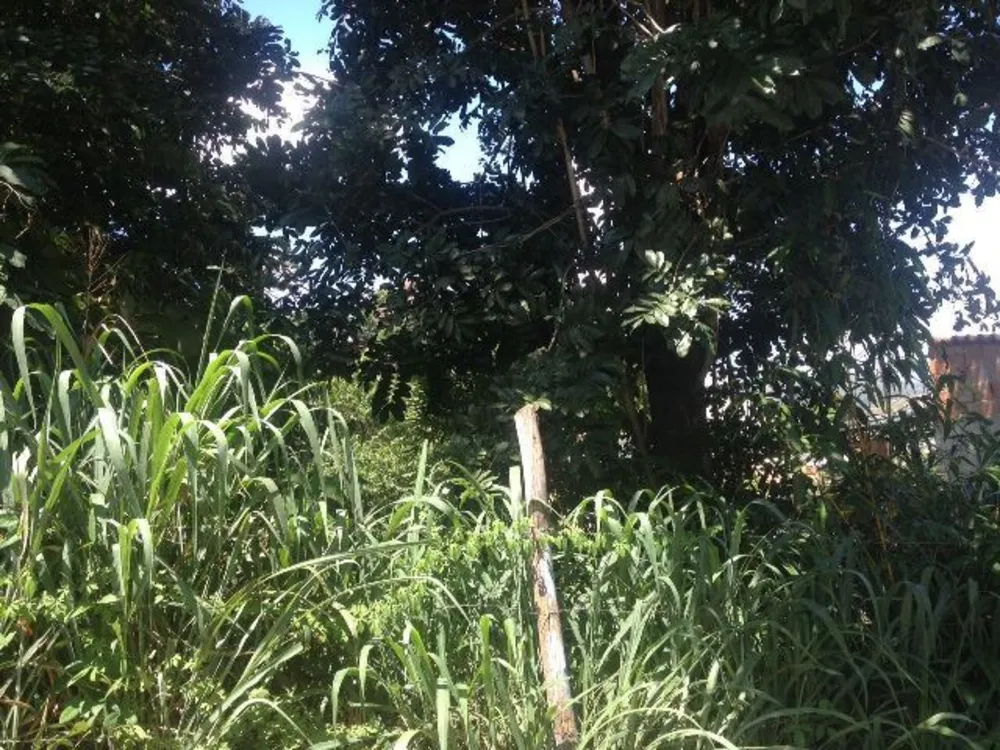 Terreno, 360 m² - Foto 6