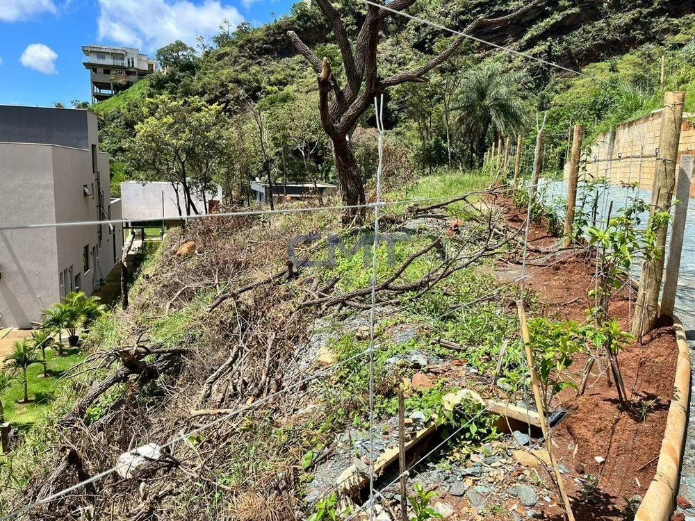 Terreno, 810 m² - Foto 5