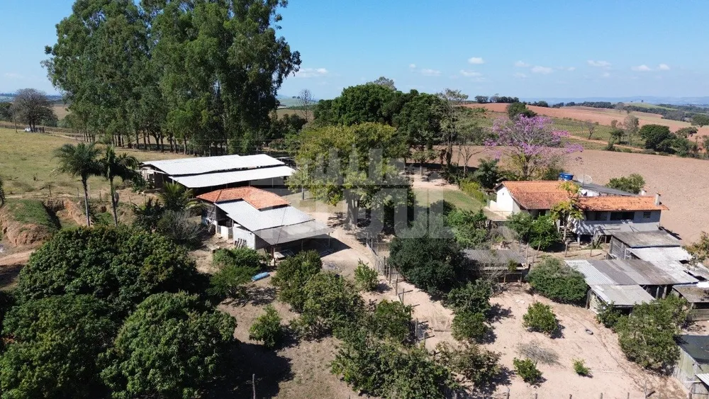 Sítio, 4 quartos, 226300 m² - Foto 1