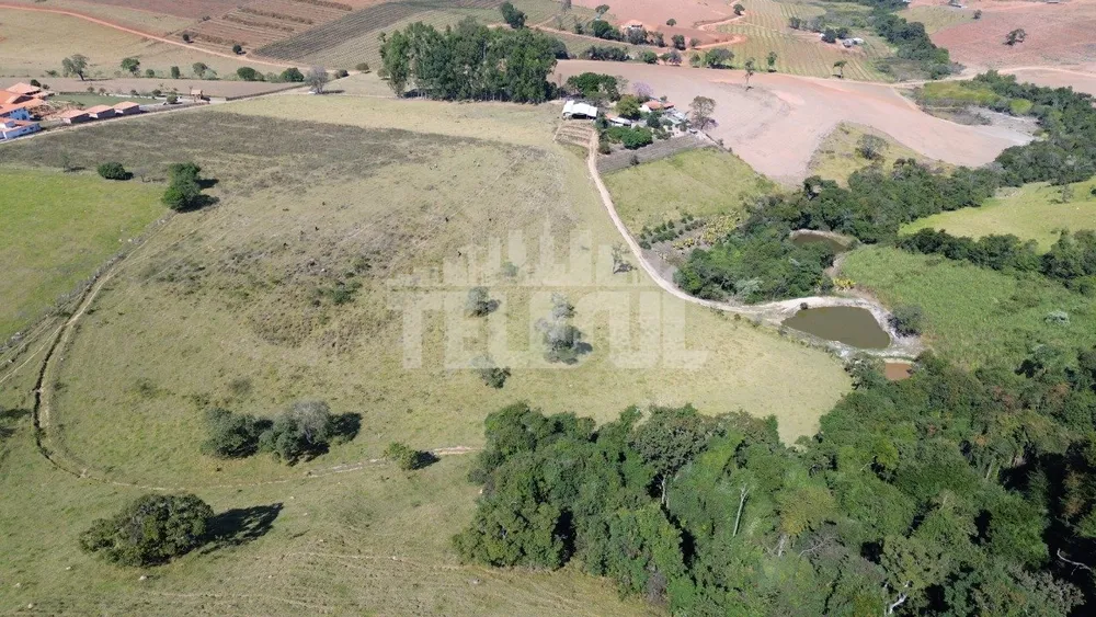 Sítio, 4 quartos, 226300 m² - Foto 5