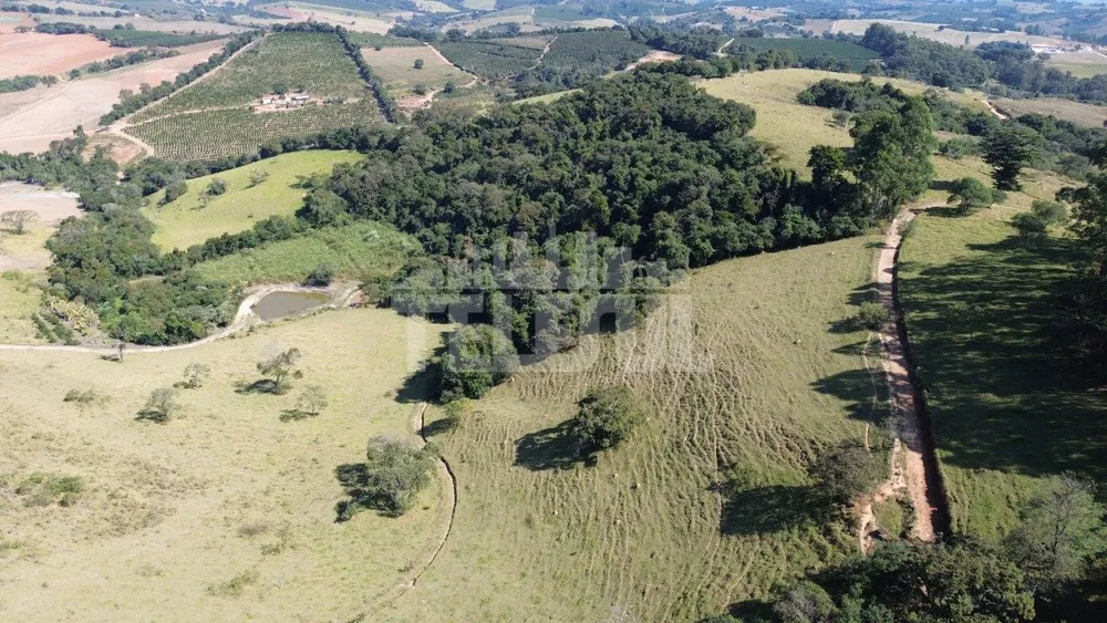 Sítio, 4 quartos, 226300 m² - Foto 7