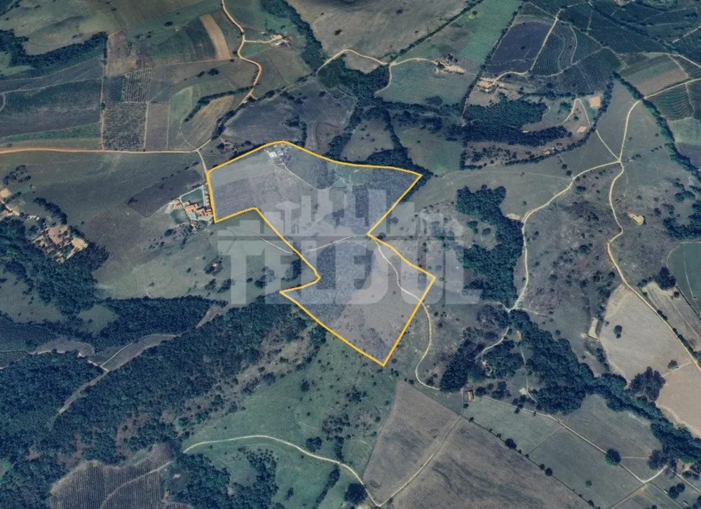 Sítio, 4 quartos, 226300 m² - Foto 14