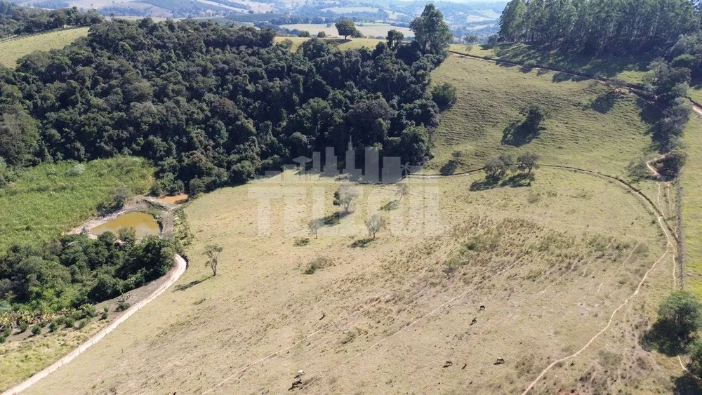 Sítio, 4 quartos, 226300 m² - Foto 8