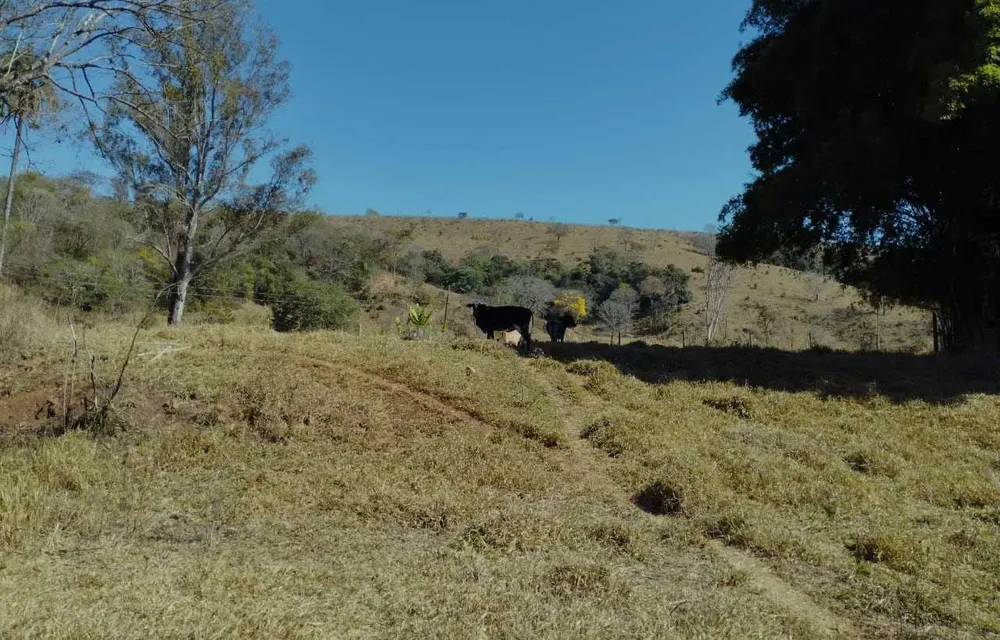 Fazenda, 1110 hectares - Foto 7